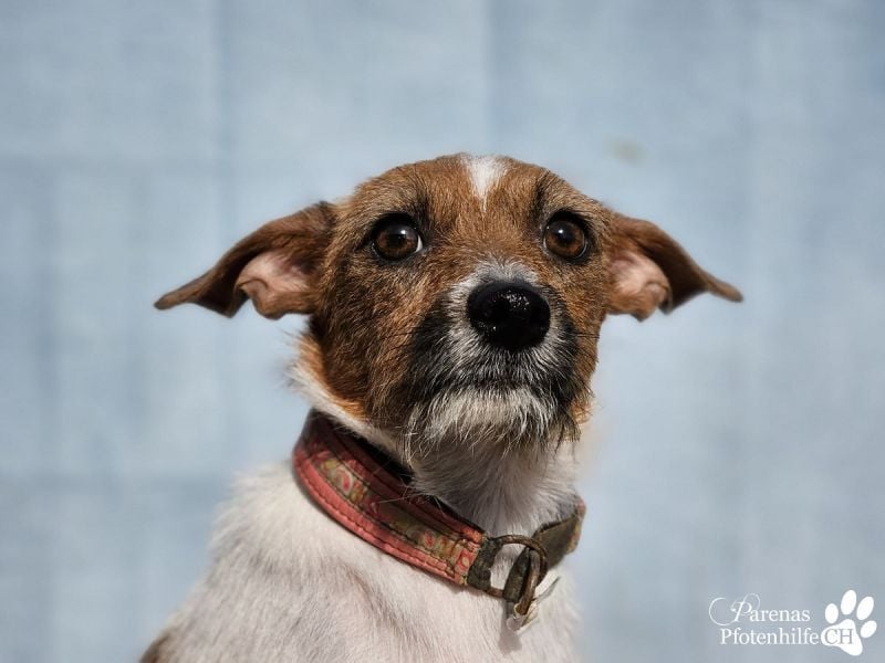 Kiana ist fröhlich und ausgeglichen und eine tolle Mama, sie braucht anfangs Zeit