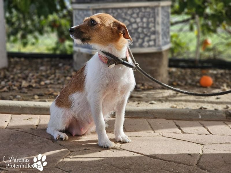 Kiana ist fröhlich und ausgeglichen und eine tolle Mama, sie braucht anfangs Zeit