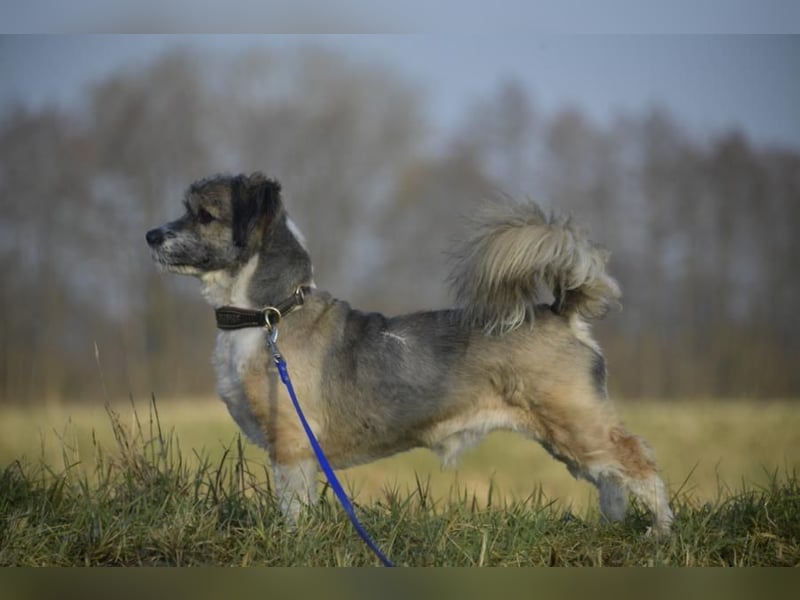 Teddy the Stöpsel