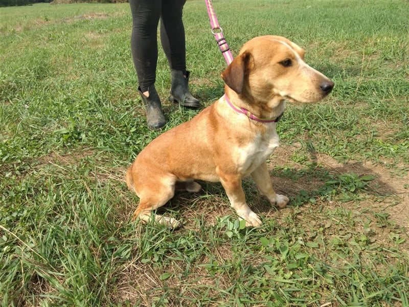 Otto freut sich auf Eure Bekanntschaft