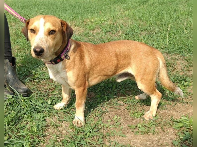 Otto freut sich auf Eure Bekanntschaft