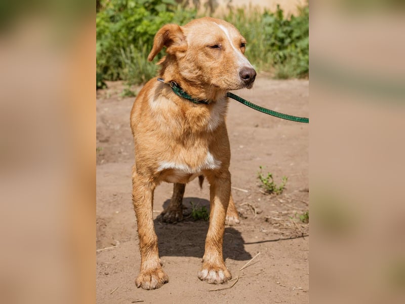 Ludwig, anfangs sehr schüchtern