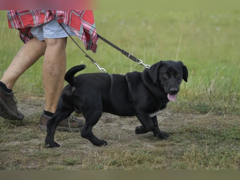 Cooper. der II. Riesenbaby und Tollpatsch sucht seinen Happyplaces
