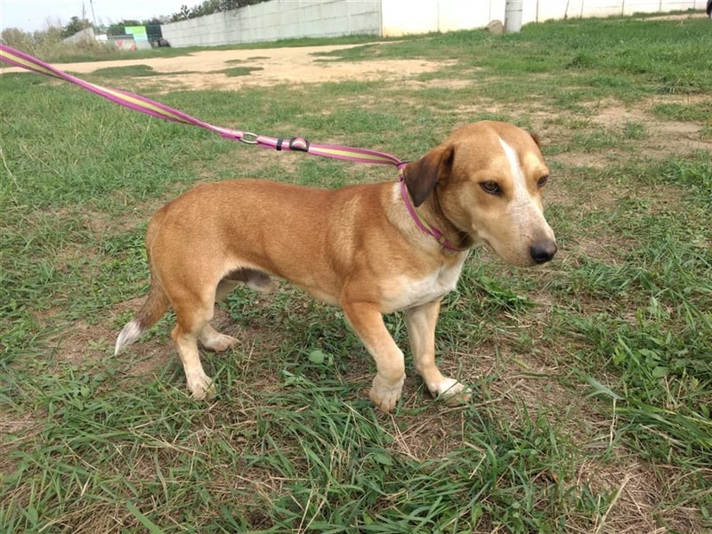 Otto freut sich auf Eure Bekanntschaft