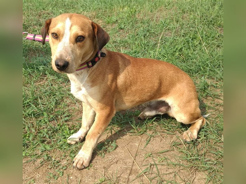 Otto freut sich auf Eure Bekanntschaft