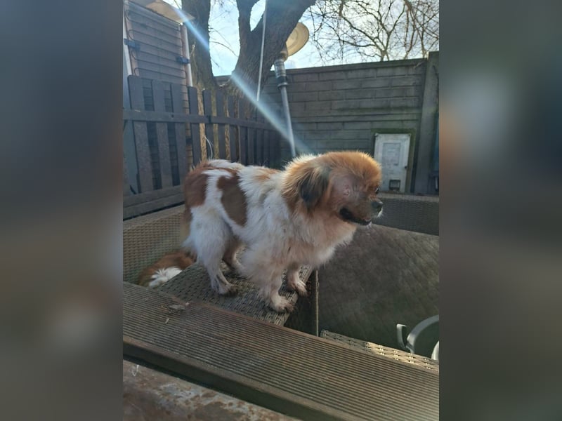 Cukker, ist auch mit einem Auge hellwach