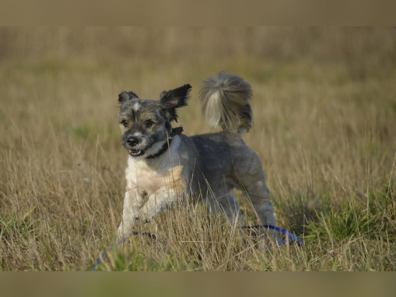 Teddy the Stöpsel
