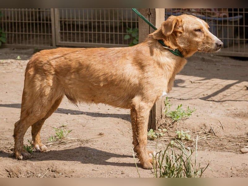 Ludwig, anfangs sehr schüchtern