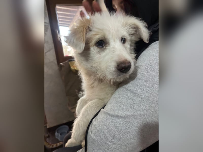 Die süße Sun sucht ihre Familie