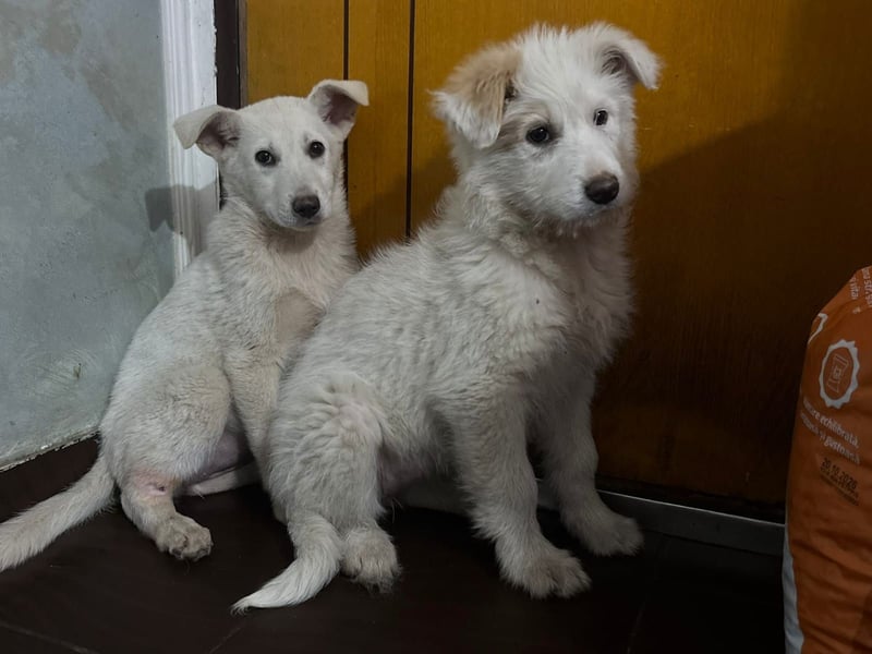 Die süße Sun sucht ihre Familie