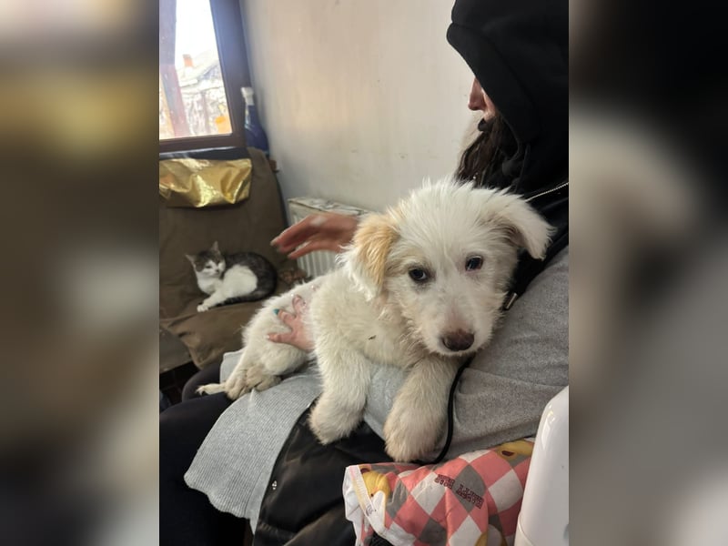 Die süße Sun sucht ihre Familie