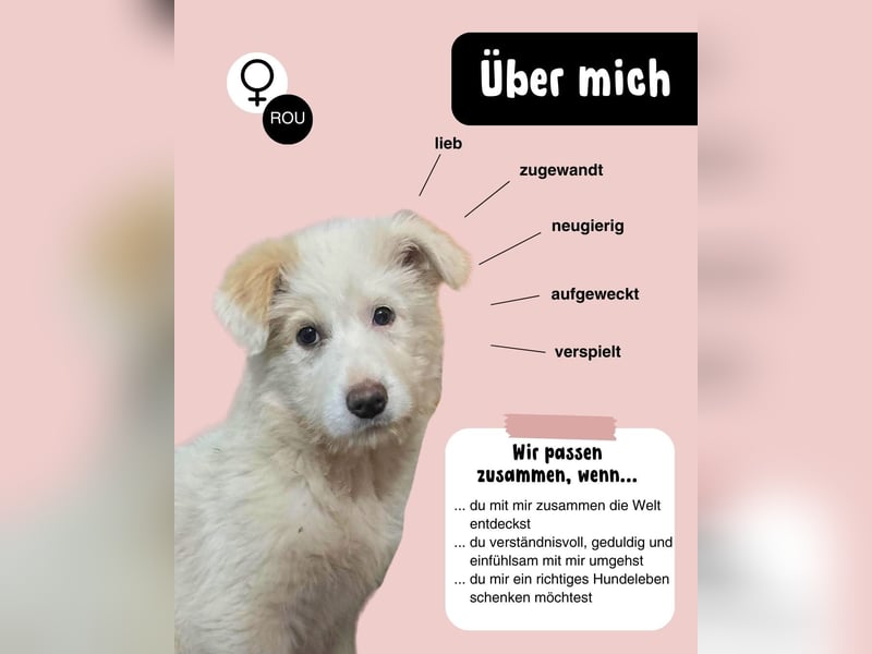 Die süße Sun sucht ihre Familie