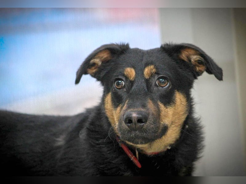 Kleine, schüchterne Rica sucht liebe Menschen