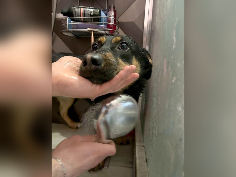 Kleine, schüchterne Rica sucht liebe Menschen