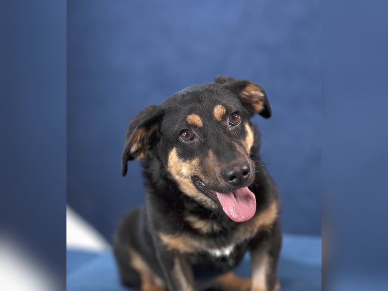 Kleine, schüchterne Rica sucht liebe Menschen