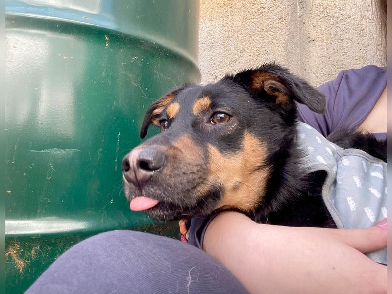 Kleine, schüchterne Rica sucht liebe Menschen