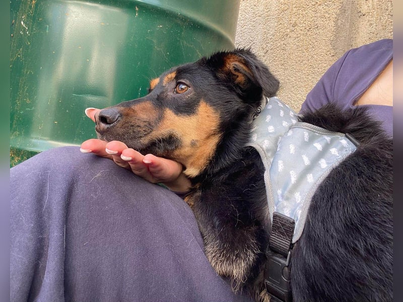 Kleine, schüchterne Rica sucht liebe Menschen