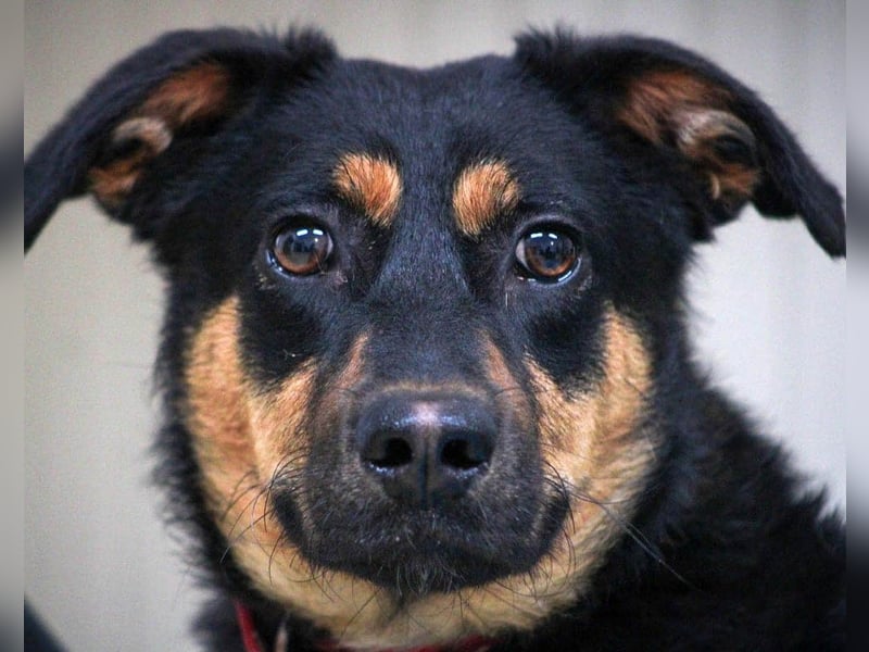 Kleine, schüchterne Rica sucht liebe Menschen