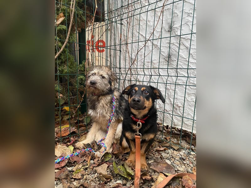 Kleine, schüchterne Rica sucht liebe Menschen
