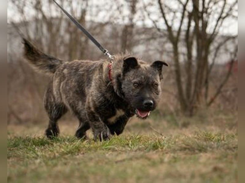 Duci Juci, bezaubernder Wonneproppen mit außergewöhnlichem Ausssehen