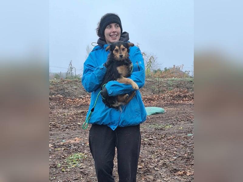 Der sanfte Rüde Lucky sucht ein Zuhause !