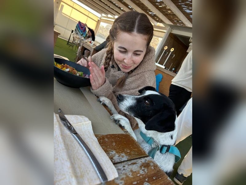 Luna (Spanien) – kleine Herzensdame sucht ihr Zuhause