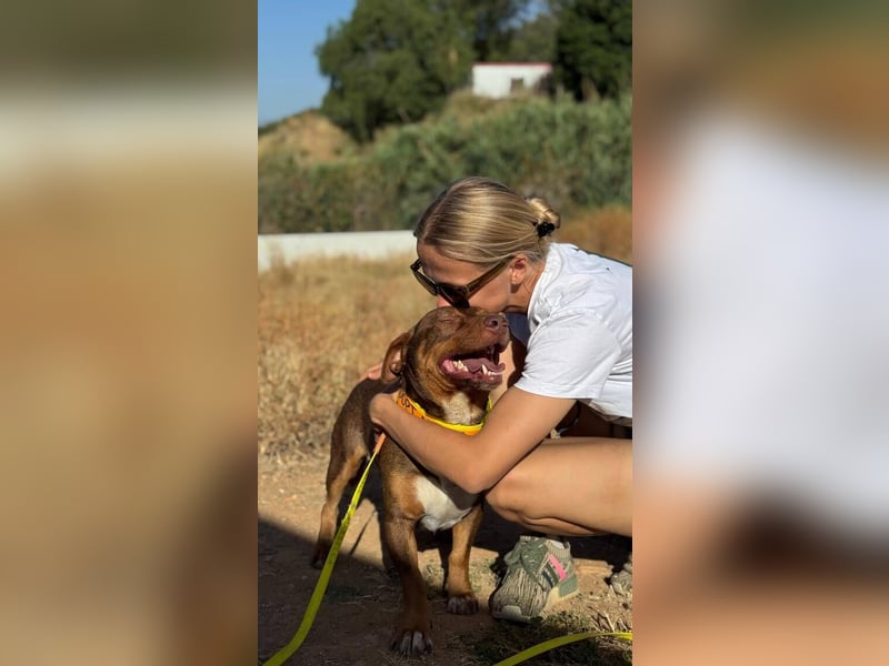 Slinky (Spanien) – große Lebensfreude auf kurzen Beinen
