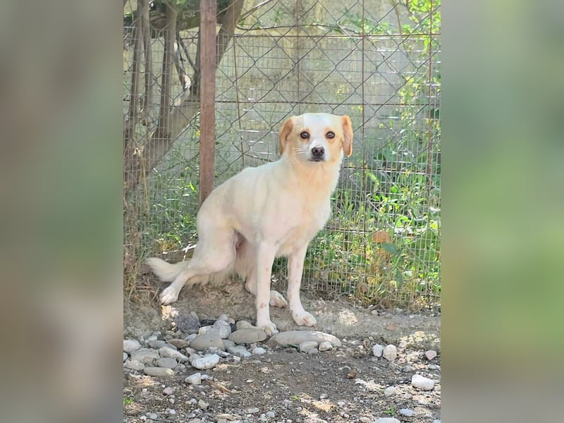 Lola sucht ihren sicheren Hafen