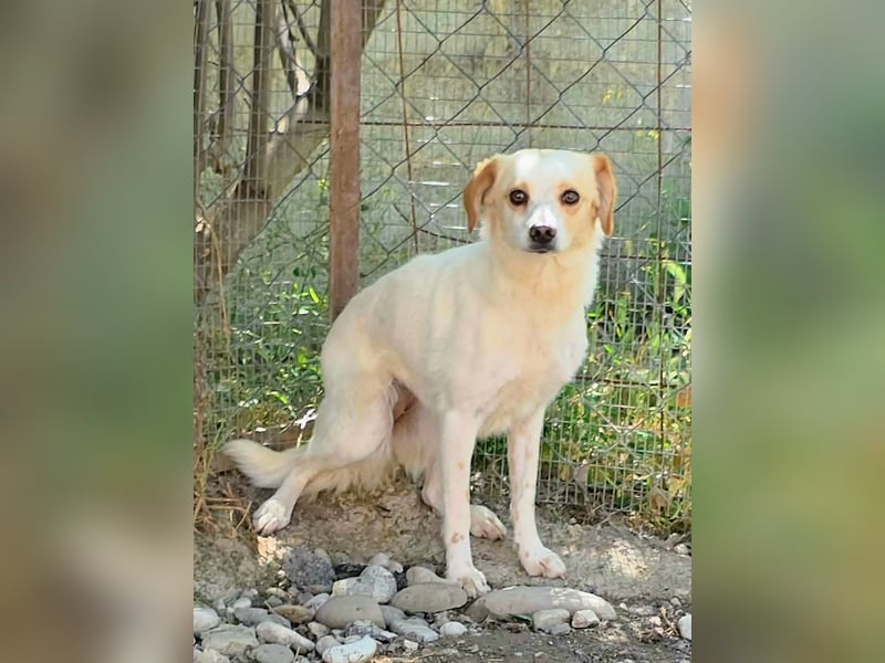 Lola sucht ihren sicheren Hafen