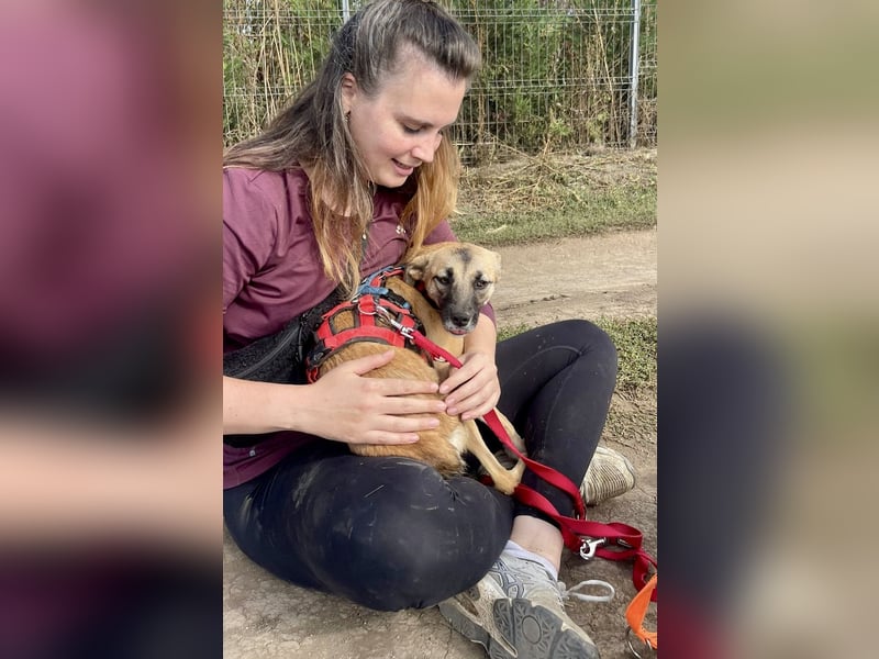Suki - Kuschelmaus sucht Zuhaus