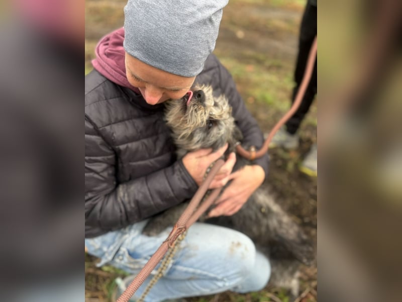 SHARON - Kleine junge Frohnatur sucht ein liebevolles Zuhause