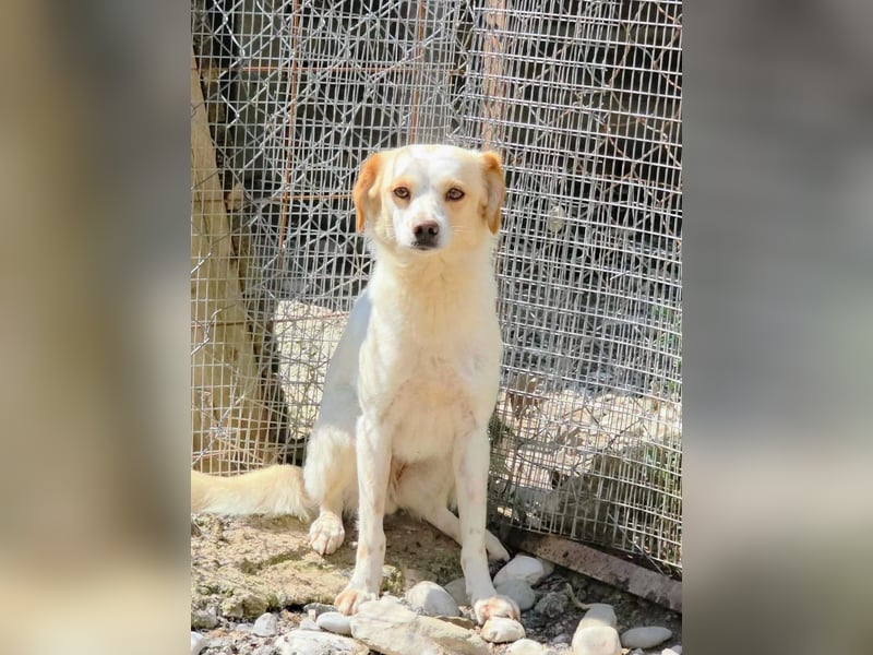Lola sucht ihren sicheren Hafen