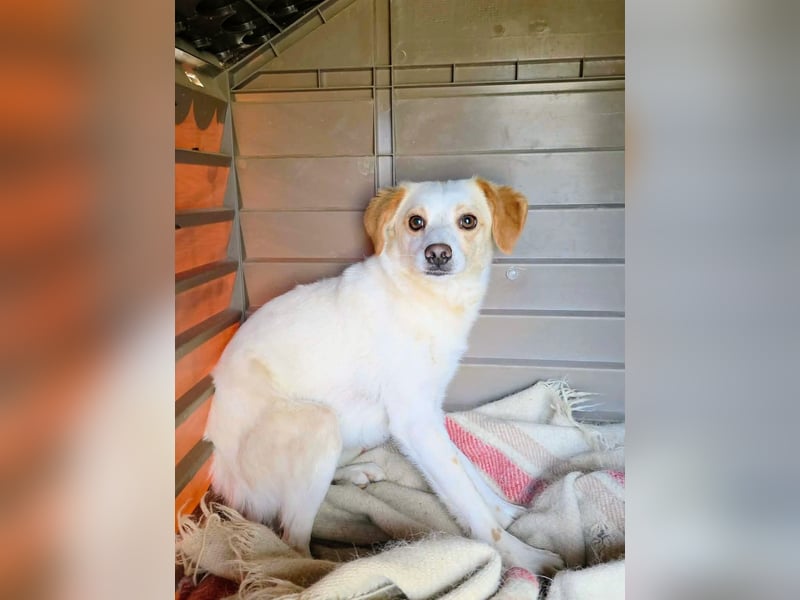 Lola sucht ihren sicheren Hafen