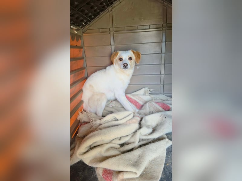 Lola sucht ihren sicheren Hafen