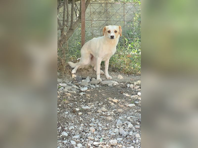 Lola sucht ihren sicheren Hafen