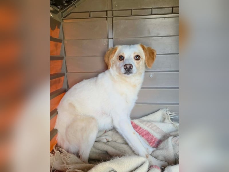 Lola sucht ihren sicheren Hafen