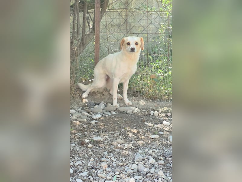 Lola sucht ihren sicheren Hafen