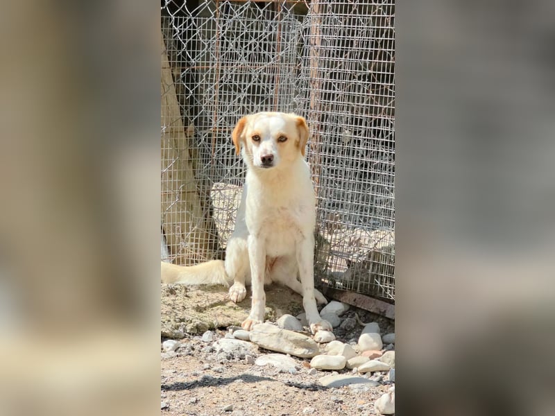 Lola sucht ihren sicheren Hafen