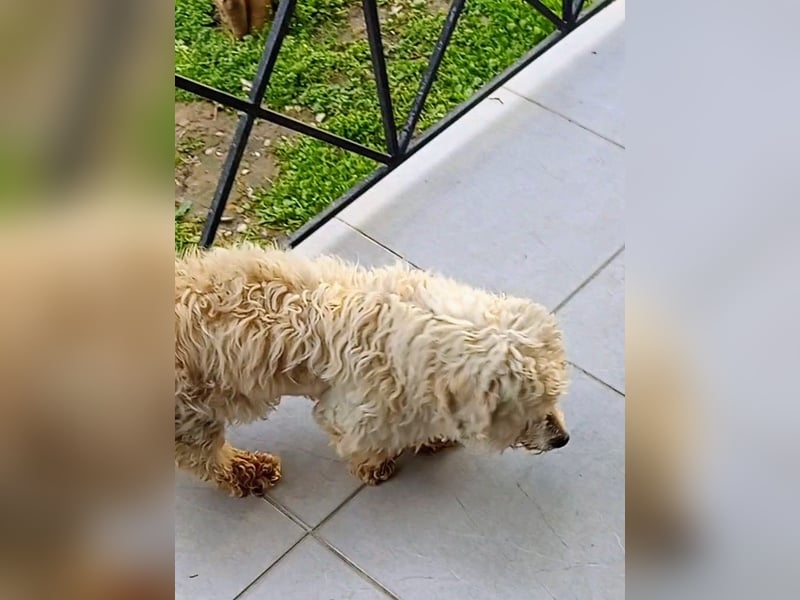 Casper sucht sein Glück