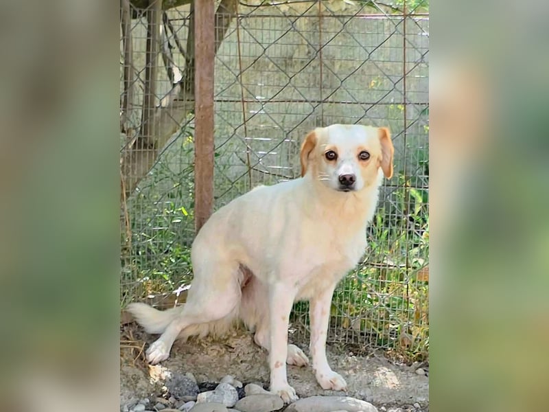 Lola sucht ihren sicheren Hafen
