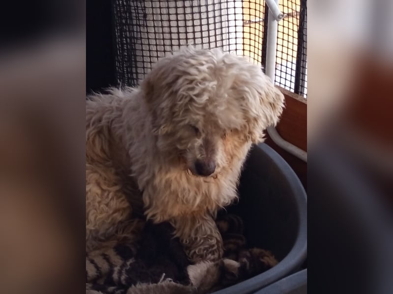 Casper sucht sein Glück