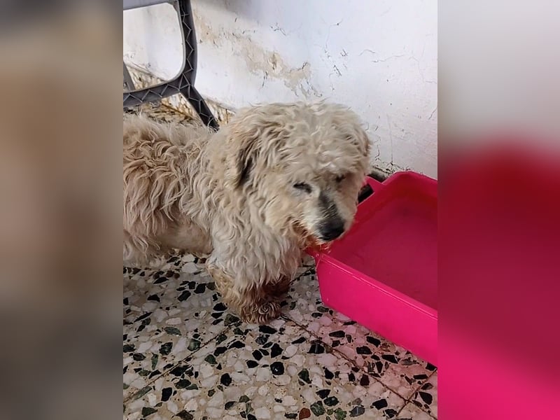 Casper sucht sein Glück