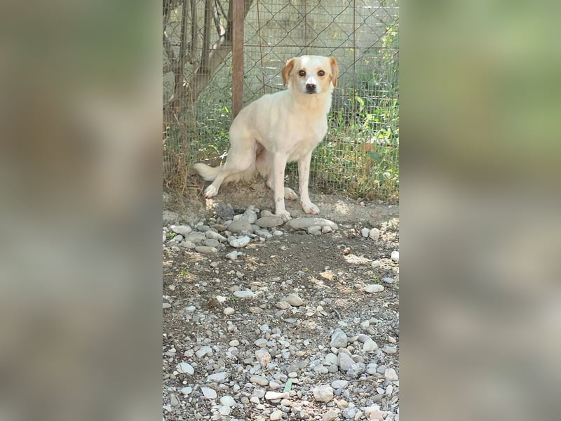 Lola sucht ihren sicheren Hafen