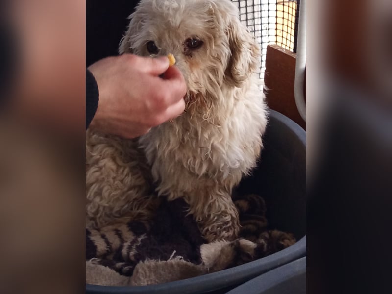 Casper sucht sein Glück