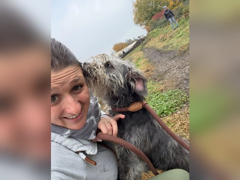 SHARON - Kleine junge Frohnatur sucht ein liebevolles Zuhause