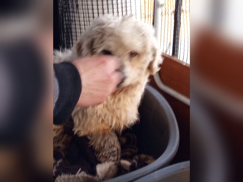 Casper sucht sein Glück