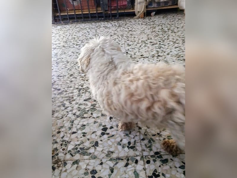 Casper sucht sein Glück