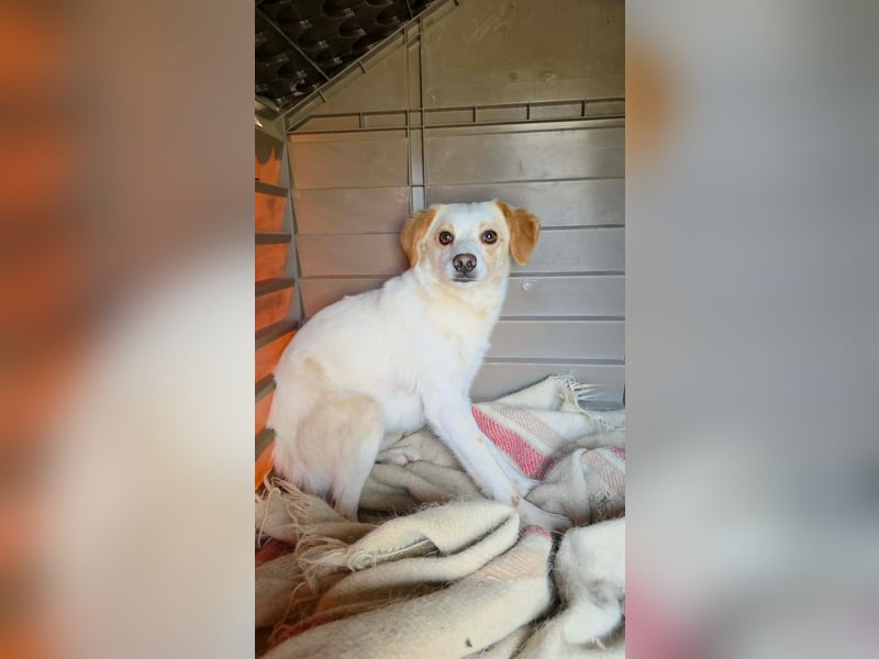 Lola sucht ihren sicheren Hafen