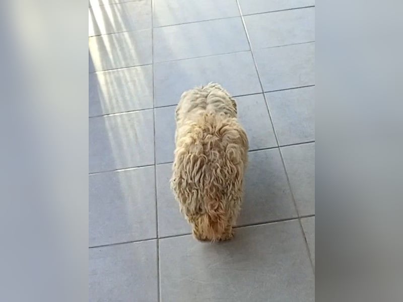 Casper sucht sein Glück