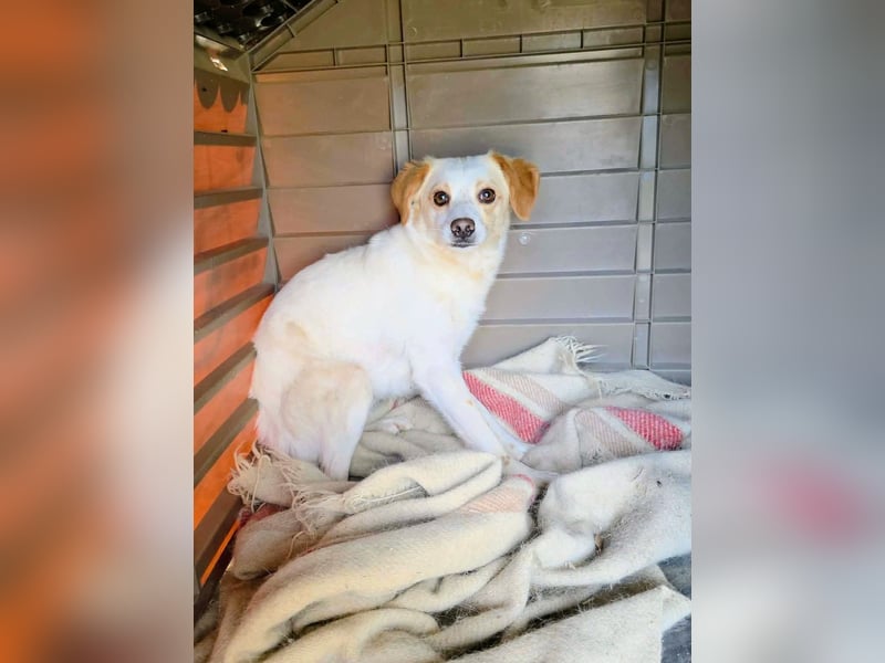 Lola sucht ihren sicheren Hafen